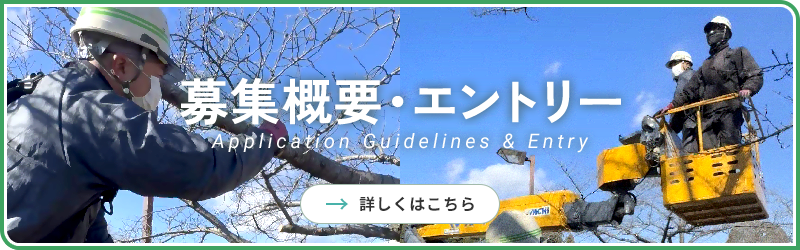 募集概要・エントリーはこちら